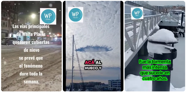 screenshot 2026 01 21 12.52.20