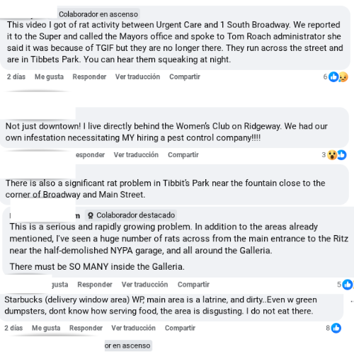¡RAT INVASION! Vecinos alertan infestation y arman el "RAT MAP" para alertar al MAYOR 🛑 untitled design (1)