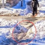 WHITE PLAINS IS NOT «ACCESSIBLE»: VECINOS CIEGOS DENUNCIAN ACERAS «DEATH TRAP» 🦯❄️⚠️