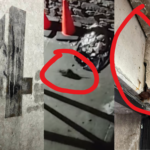 PARKING OF WHITE PLAINS IS A «TRASH INMUNDICIA»: VECINOS DENUNCIAN COBRO EXCESIVO POR UN DESASTRE ❄️🐀🚫