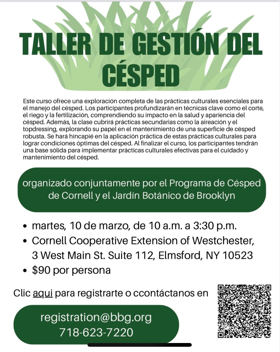 taller de cesped WP news