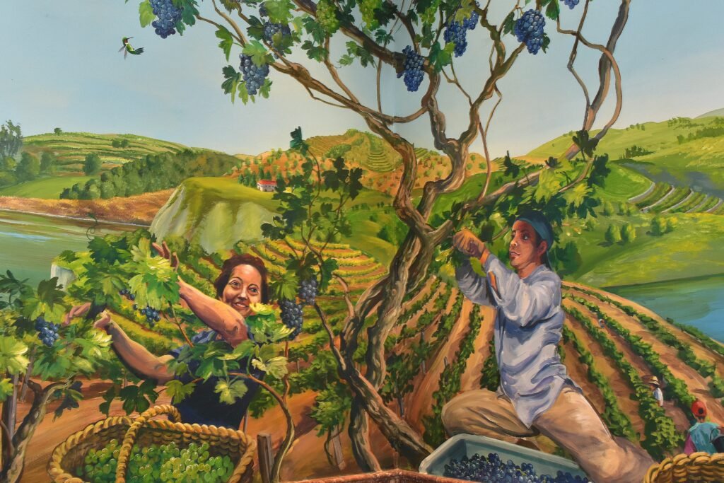 AQUARIO RESTAURANT: ARTE Y TRADICIÓN DEL ATLÁNTICO EN WESTCHESTER 🌊🎨 page001 13