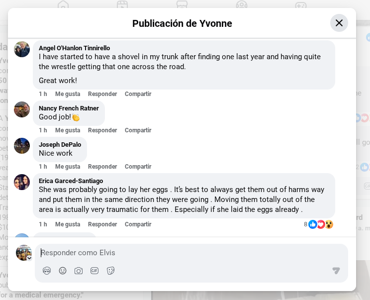 screenshot 2026 05 21 11.01.51