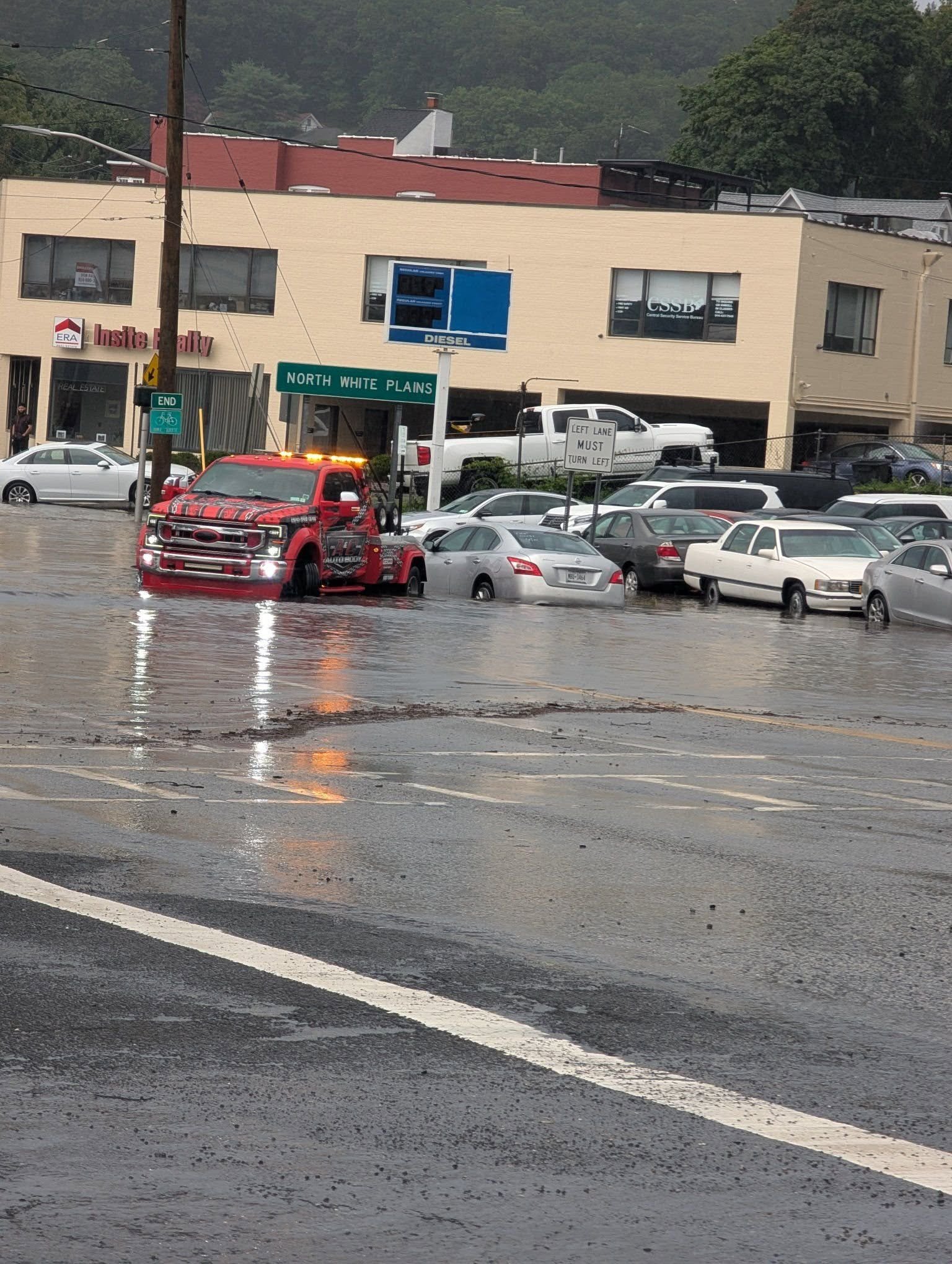 storm white plains