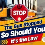 🚨🛑 ¡MÁS DE 12 MIL MULTAS POR REBASAR AUTOBUSES ESCOLARES! EN WHITE PLAINS🚌⚡