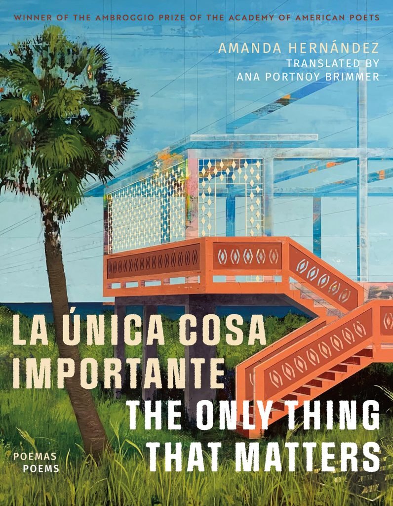 🤖🌊 LA REVOLUCIÓN DE LA RISOGRAFÍA CON AMANDA HERNÁNDEZ Y "LA IMPRESORA" 🎨📚✨ 9780816558124 796x1024
