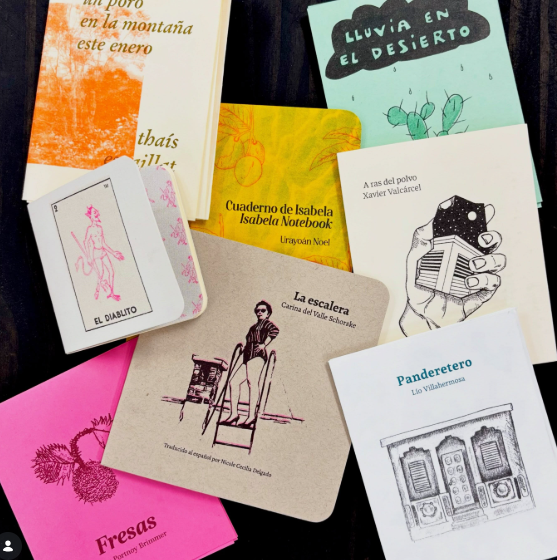 🤖🌊 LA REVOLUCIÓN DE LA RISOGRAFÍA CON AMANDA HERNÁNDEZ Y "LA IMPRESORA" 🎨📚✨ screenshot 2026 10 25 09.31.27